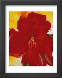 Red Amaryllis, c.1937 Posters by Georgia O'Keeffe