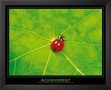 Ladybug (Achievement) Art Poster Print Prints