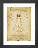 Virtruvian Man Art by Leonardo da Vinci 