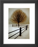 Solitude Print by David Winston