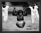 Hangin' Out Prints