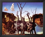 Dali - Reflection Of Elephants Poster by Salvador Dali