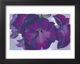Petunias, c.1925 Prints by Georgia O'Keeffe