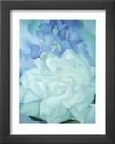 White Rose with Larkspur Art by Georgia O'Keeffe