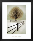 Solitude Prints by David Winston