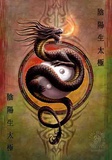 Anne Stokes - Yin Yang Protector Poster