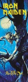 Iron Maiden - Fear the Dark Poster