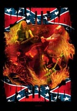 Pantera - Band South Láminas