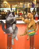 Cocktails-Cats Affiches