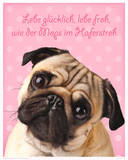 Mops Poster