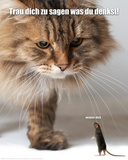 Verpiss Dich Katze Prints