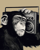 The Chimp-Boombox Posters