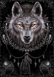 Spiral - Wolf Dreams Kunstdrucke