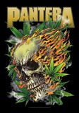 Pantera - Skull Leaf Photo