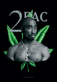 Tupac - Herb Posters