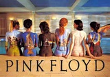 Pink Floyd - Albums précédents Posters