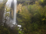 Silver Falls from Gold and Silver Falls State Park, Near Coos Bay, Oregon, USA Photographic Print by David Cobb