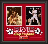 Elvis Presley "Aloha From Hawaii" framed presentation Framed Memorabilia