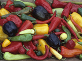 Heirloom Sweet Pepper Harvest Lámina fotográfica por David Cavagnaro Heirloom Sweet Pepper Harvest Lámina fotográfica por David Cavagnaro