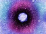 Adenovirus, TEM X297,000 Photographic Print by Hans Ackermann