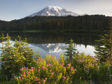 Mount Rainier with its Reflection in Reflection Lake at Sunrise, Mount Rainier National Park Photographic Print by David Cobb