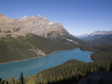 Peyto Lake with its Turquoise Color from Finely Ground Rock Called Glacier Flour Photographic Print by Hal Beral