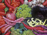 Colorful Italian Heirloom Vegetable and Fruit Harvest, Seed Savers Exchange Lámina fotográfica por David Cavagnaro Colorful Italian Heirloom Vegetable and Fruit Harvest, Seed Savers Exchange Lámina fotográfica por David Cavagnaro
