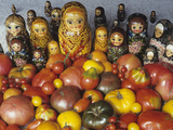 Tomato Variety from Russia with Russian Dolls Lámina fotográfica por David Cavagnaro Tomato Variety from Russia with Russian Dolls Lámina fotográfica por David Cavagnaro
