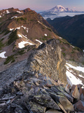 View of Mt. Adams from the Goat Rocks Wilderness, Washington, USA Photographic Print by David Cobb