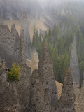 Pinnacles or Eroded Volcanic Vents in the Fog, Crater Lake National Park, Oregon, USA Photographic Print by David Cobb