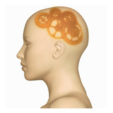 Conceptual Biomedical Illustration of a Human Head with Gears in the Position of the Brain Giclee Print by Scott Camazine