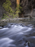 Virgin River Canyon in Zion National Park, Utah, USA Photographic Print by David Cobb