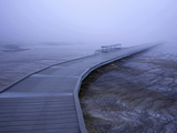 Boardwalk and Bench in Morning Fog around Grand Prismatic Spring, Yellowstone National Park Photographic Print by David Cobb