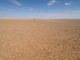 Flat Gravel Plain of the Hamadat Al-Hamrah, Sahara Desert, Libya Photographic Print by Gary Cook