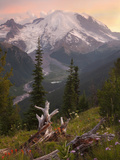 Mount Rainier at Sunset, Mount Rainier National Park, Washington, USA Photographic Print by David Cobb