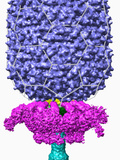 Three-Dimensional Reconstruction of Bacteriophage 29 Photographic Print by Timothy Baker
