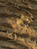 Tombs in the Bandiagara Escarpment, Falaise De Bandiagara, Mali Fotografisk tryk af Gary Cook