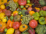The Tomato Festival in Santa Rosa, California, Local Fruit and Vegtables Photographic Print by Gerald & Buff Corsi