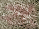 Surface of a Paper Towel, SEM X100 Photographic Print by Wolf Fahrenbach