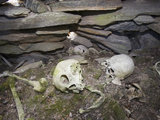 Inuit Skulls and Bones in a Stone Chambered Cairn in Ilulissat Photographic Print by Ashley Cooper