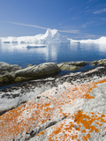 The Jacobshavn Ice Fjord in Ilulissat Seen from a Mossy Bog on Greenland Photographic Print by Ashley Cooper