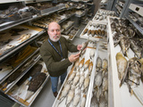 University of Alaska Museum of the North, Ornithology Department Photographic Print by Patrick Endres