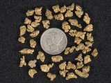 Placer Gold Nuggets Surrounding a Dime Photographic Print by Jeff Daly