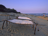 Cassava Drying in the Sun on the Shore of Lake Malawi, Malawi Fotografisk tryk af Gary Cook