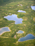 Kettle Lakes on the Tundra, Denali National Park, Alaska, USA Photographic Print by Patrick Endres