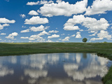 Fair Weather Cumulus Clouds Reflected in a Farm Pond in Nebraska, USA Photographic Print by Charles Doswell