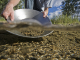 Gold Panning in Monument Creek, Alaska, USA Photographic Print by Patrick Endres