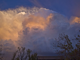Supercell Storm East of Norman, Oklahoma, USA Near Sunset Photographic Print by Charles Doswell