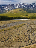 The Braided East Fork of the Toklat River, Denali National Park, Alaska, USA Photographic Print by Patrick Endres