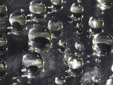 Water Drops on a Wax Surface Photographic Print by Jeff Daly